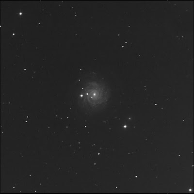RASC Finest galaxy NGC 3344 in luminance