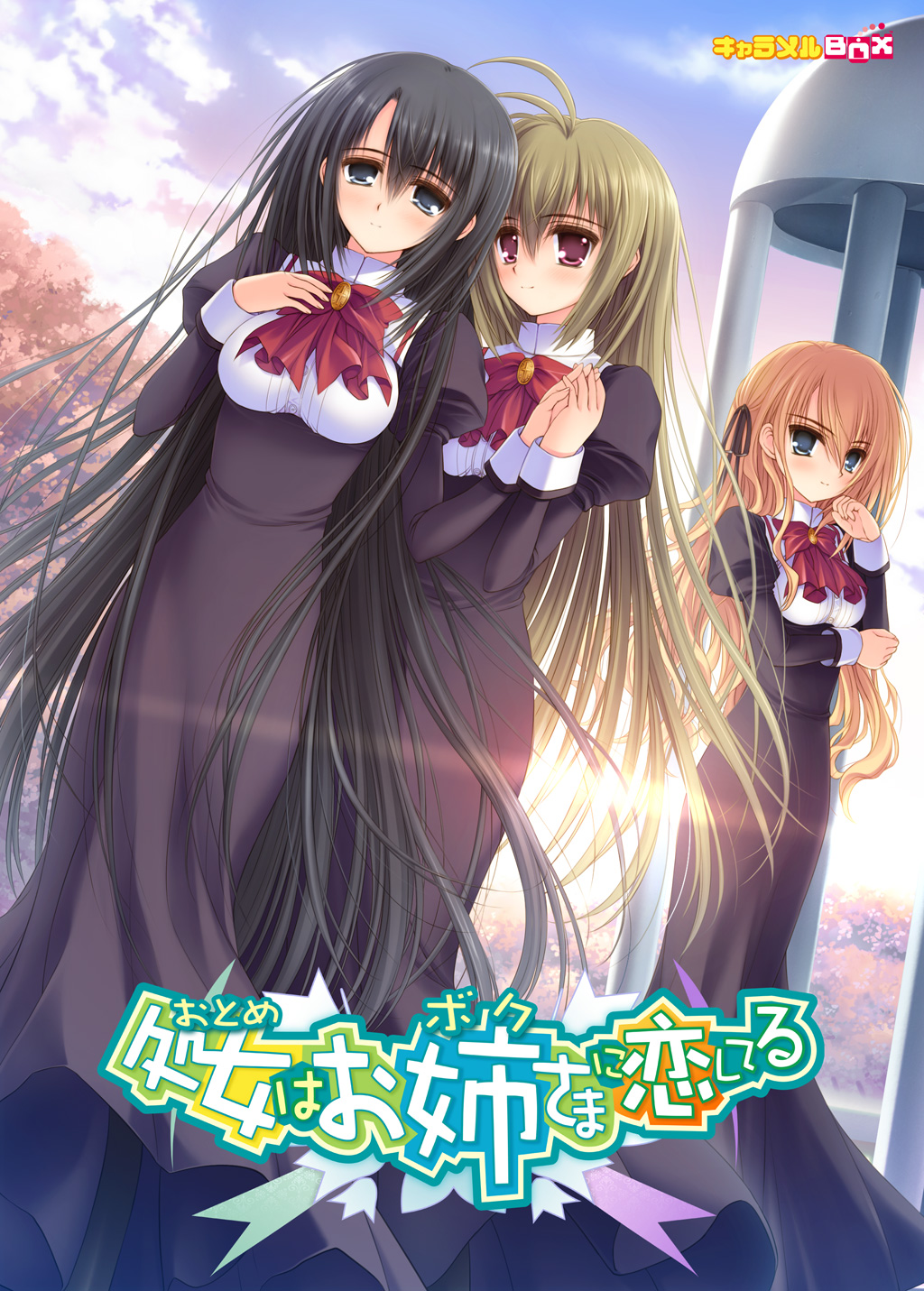 :otome Wa Boku Ni Koi Shiteru The Best and Worst Games You'll Ever Read: Games for Adults: Otome wa Boku ni Koishiteru