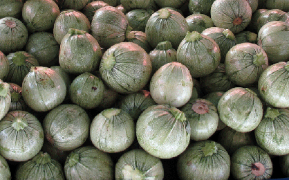 Σφαιρικά κολοκυθάκια