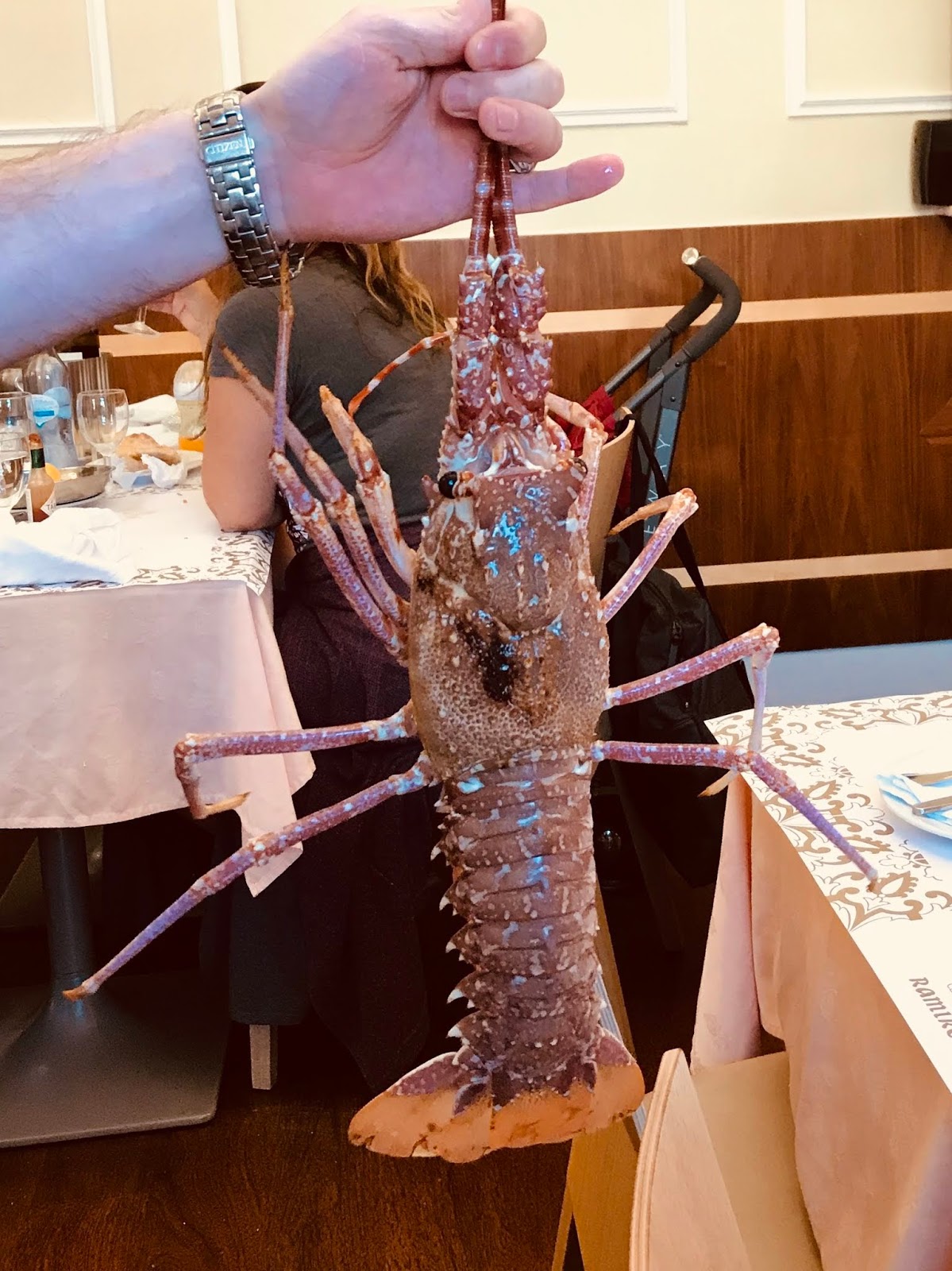 Adventurous Tastes Where to Eat in Portugal