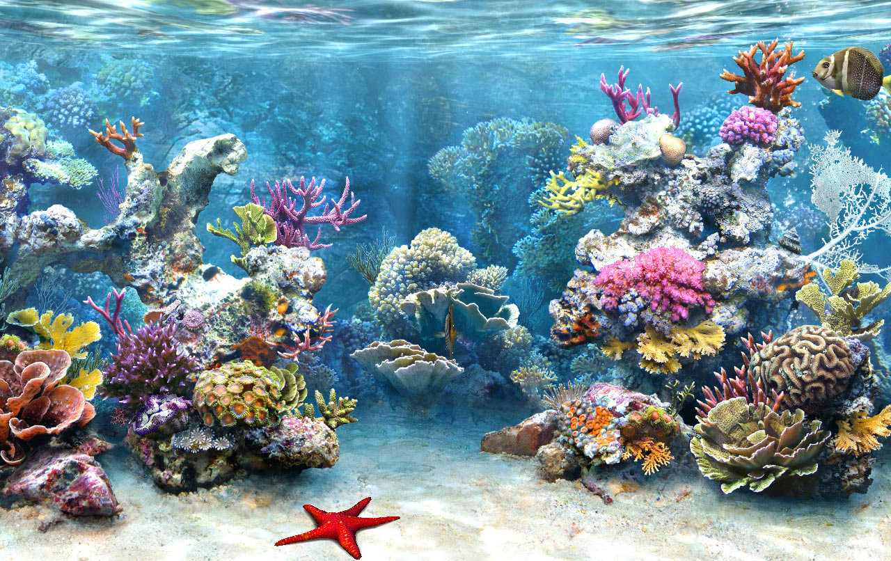 Mengenal Hewan  dan Tumbuhan Bioma laut 