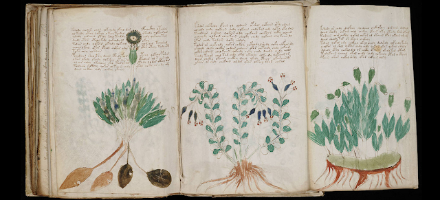 Misteri The Voynich Manuscript