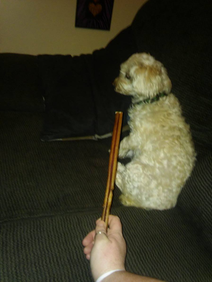 The Game Players Jack And Pup 12inch Premium Grade Odor Free Thick