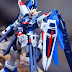 'Freedom'  RG Freedom Gundam photography by Ed.