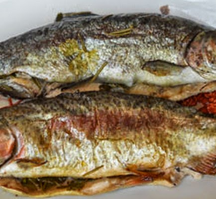 trota salmonata ripiena al forno