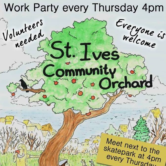 St Ives Cornwall Blog: St Ives Community Orchard