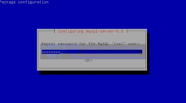 MySQL Password