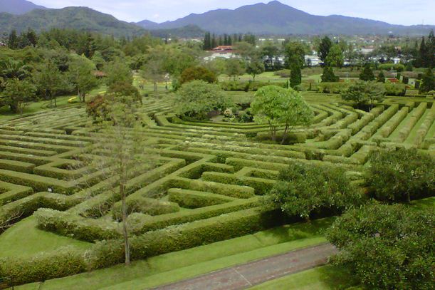 Berwisata ke Taman Bunga Nusantara Cipanas - Cianjur, Jawa ...