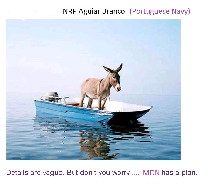 Portuguese Navy by 2015