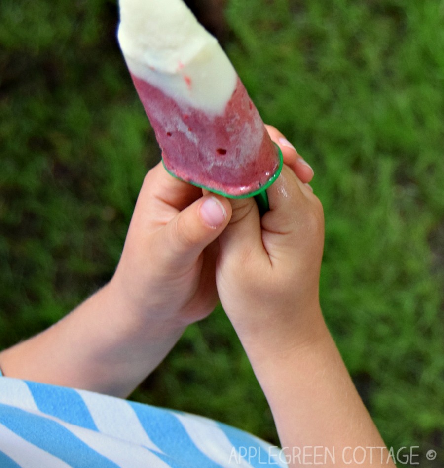 How To Make Fruit Ice Pops This Summer AppleGreen Cottage