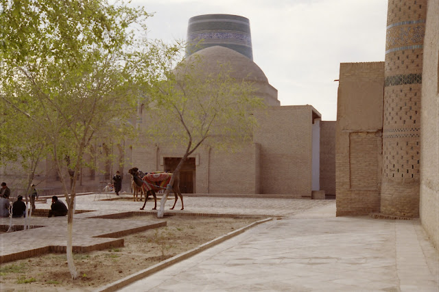 Ouzbékistan, Khiva, chameau, © L. Gigout, 2012