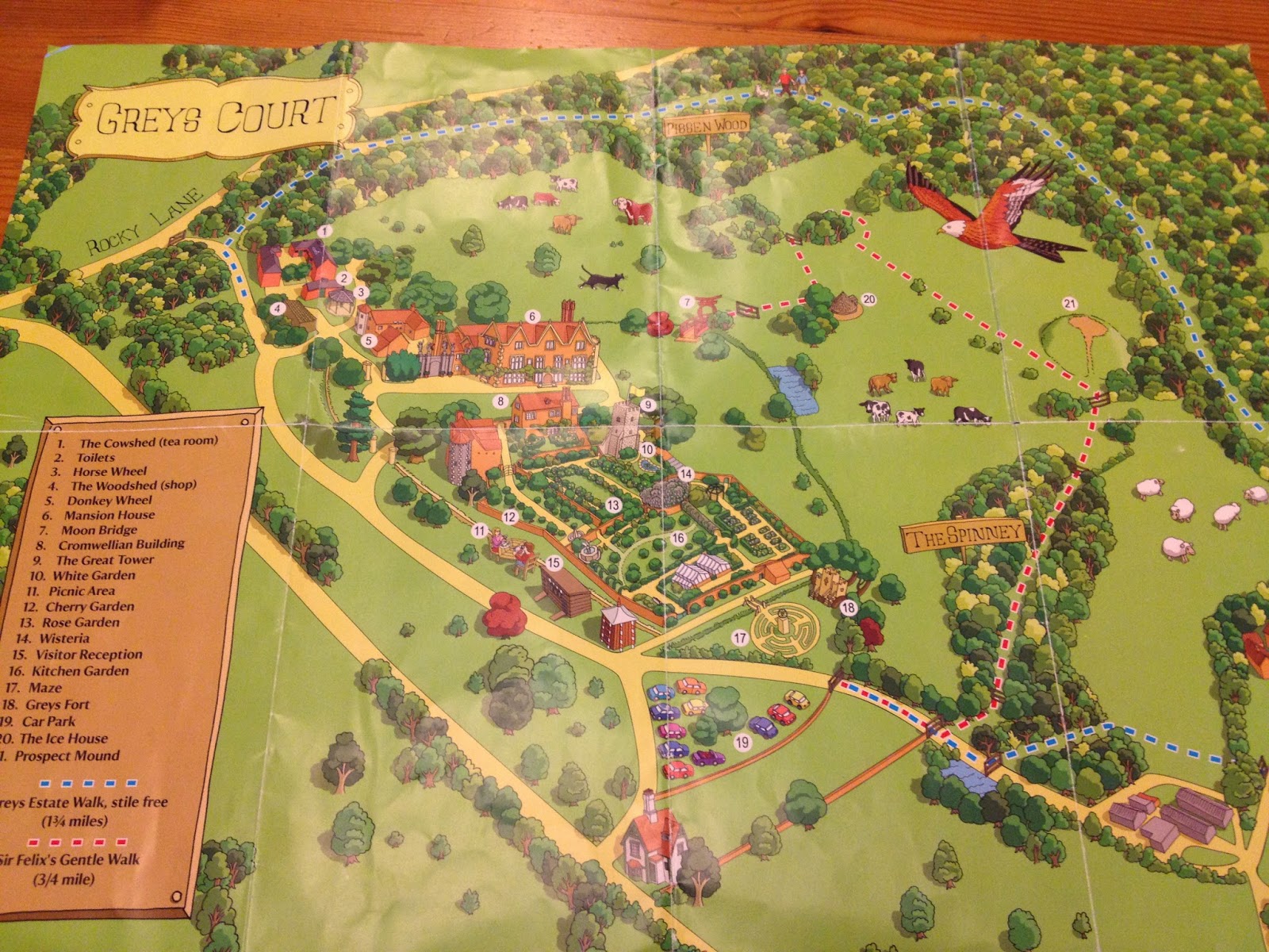 Emerald Cottage Bluebells