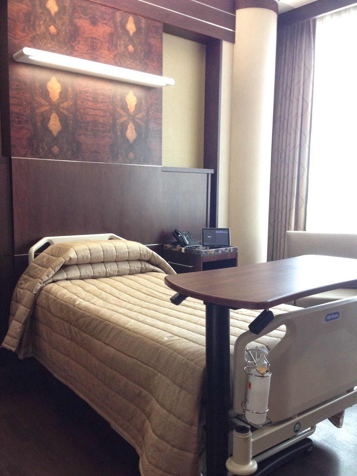 Life; In My View Mount Elizabeth Novena Maternity Tour