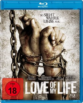 Love of my Life 2013 BluRay 480p 300mb