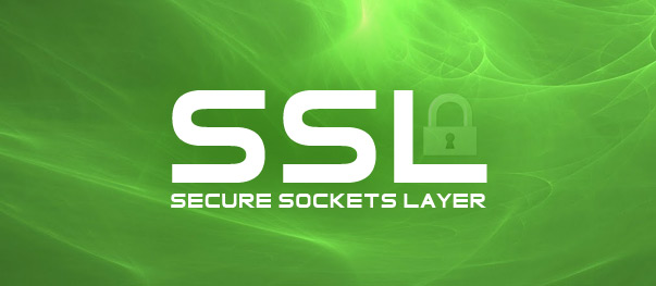 Installing A Wildcard SSL Certificate