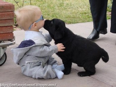 Baby and puppy.