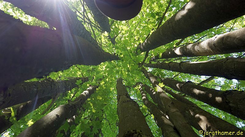 Gewum Geocaching Wandern Und Mehr 2016