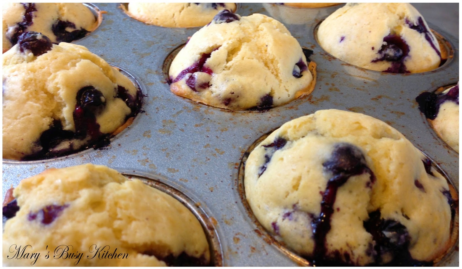 Blueberry Muffins Original, gluten free, lowfat, and vegan Mary's