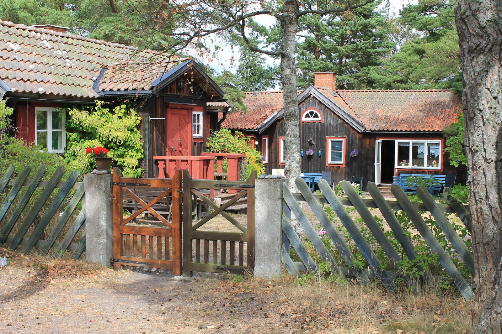 Travels and Trdelnik: Unique Vacation Ideas for Adults