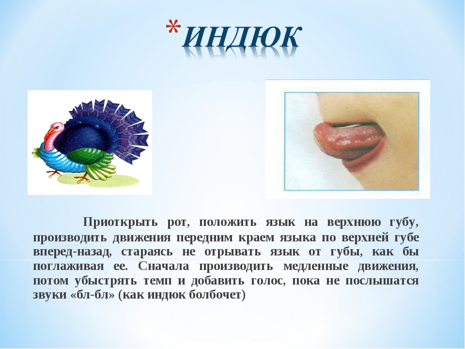 упражнения индюк партикулярные гимнастика. упражнение индюк артикуляционная гимнастика. артикуляционная гимнастика для детей индюк. упражнение индюк артикуляция. индюк болбочет артикуляционная гимнастика.