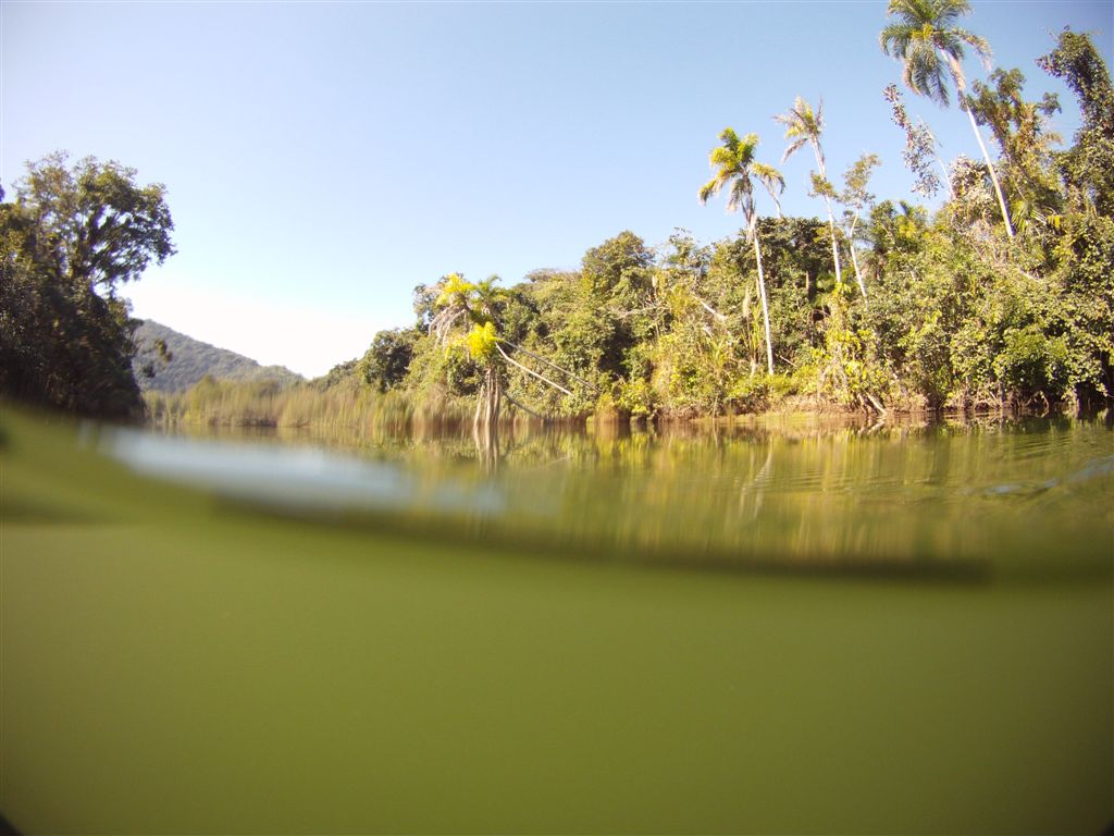 Aventuras Submarinas por Marcelo Ambrogi GOPRO hero 2 Adventure