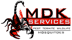 MDK SERVICES