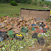 REGIÃO / Caminhão carregado de frutas tomba na região do KM-4 em Baixa Grande