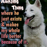 Cute Dog Quotes Short