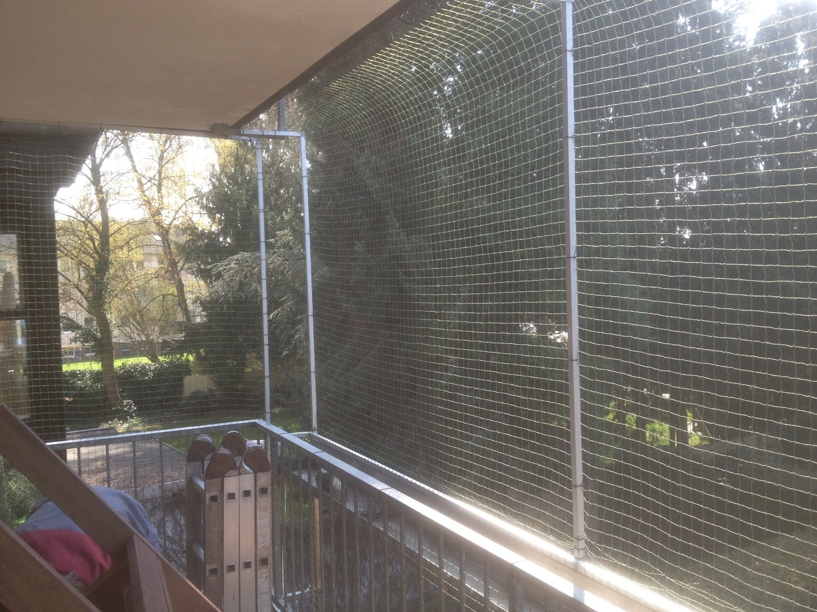 Katzennetz NRW die Adresse für ein Katzennetz: Katzennetz ...