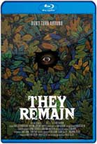 They Remain (2018) HD 720p Subtitulados