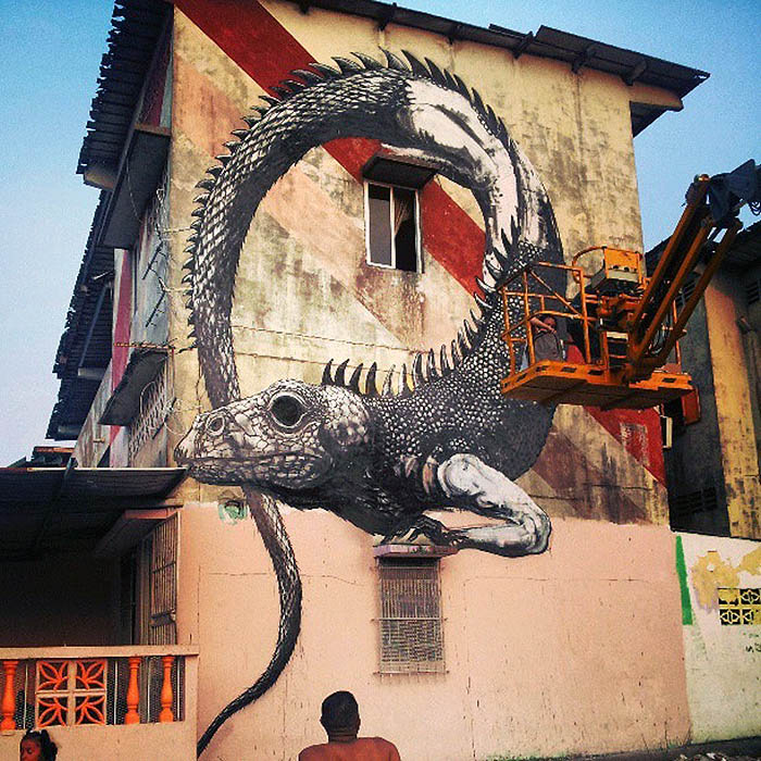 ROA New Murals In Panama City, Panama StreetArtNews