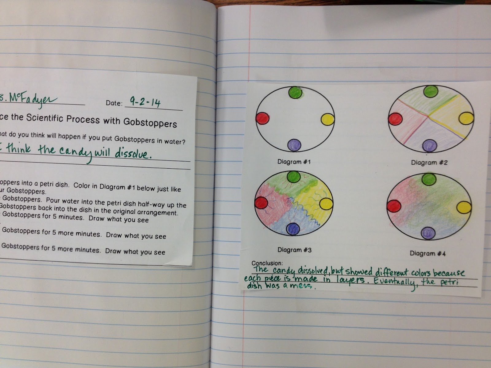 Growing Grade by Grade: The Gobstoppers Science Experiment