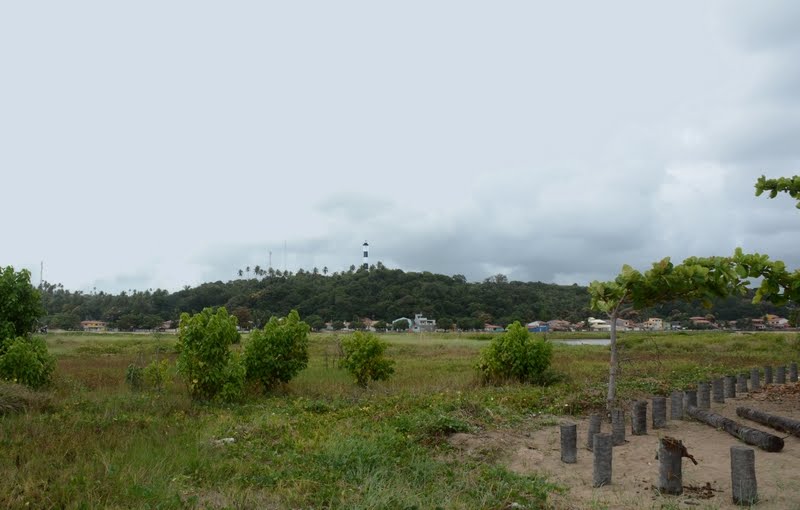 Porto de Pedras - Alagoas
