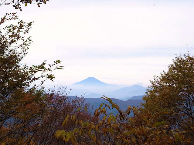 三頭山付近からの富士
