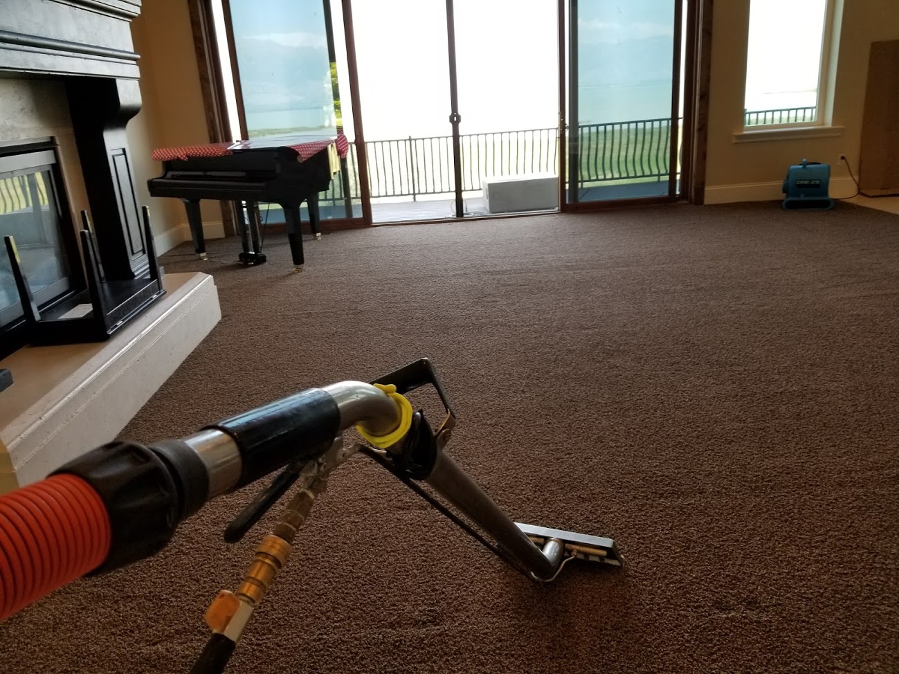 Alpine Professional Carpet Care