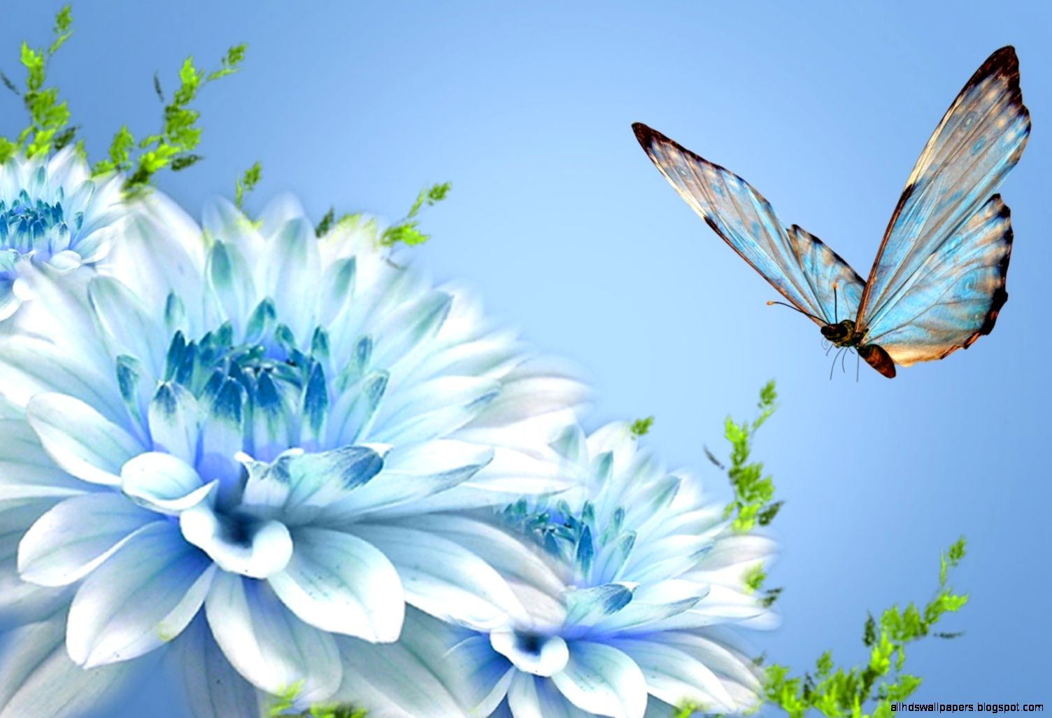 Full HD Bunny Drop Wallpapers Wallpaper Full HD Bunny Drop Wallpapers Wallpaper