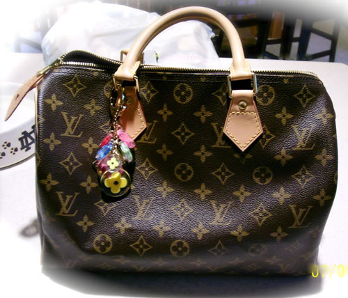 Louis Vuitton Speedy Bag ~ The Simply Luxurious Life Style