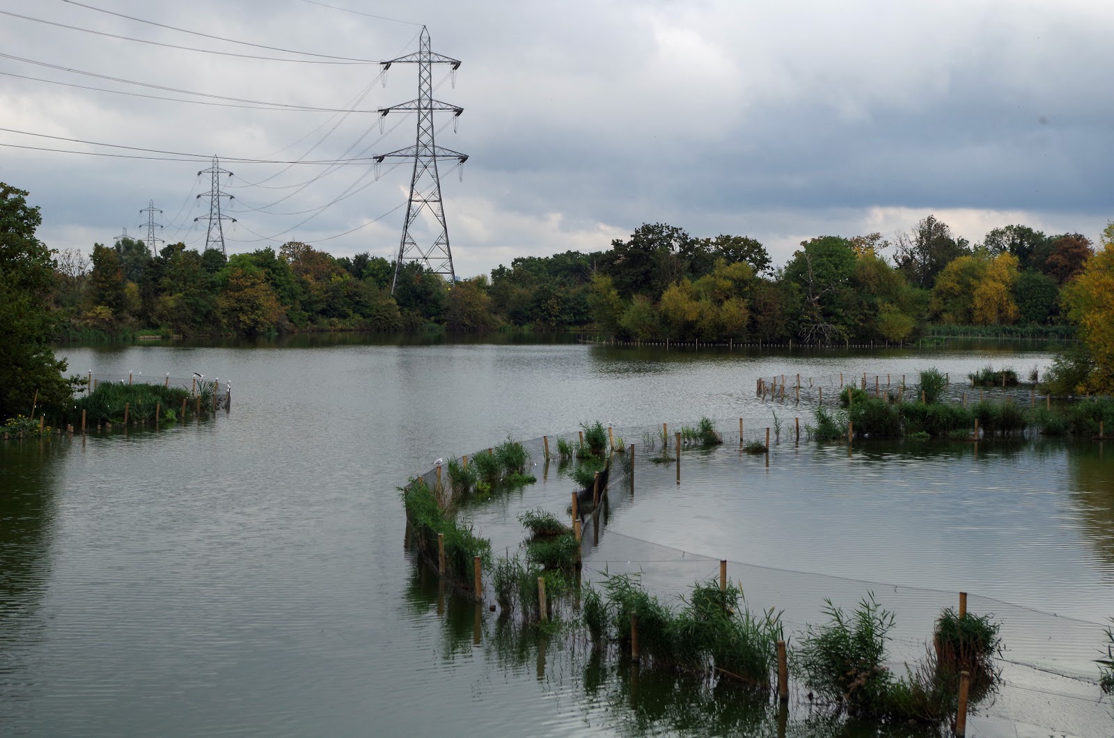 walthamstow-notebook-a-wet-day-at-the-reservoirs