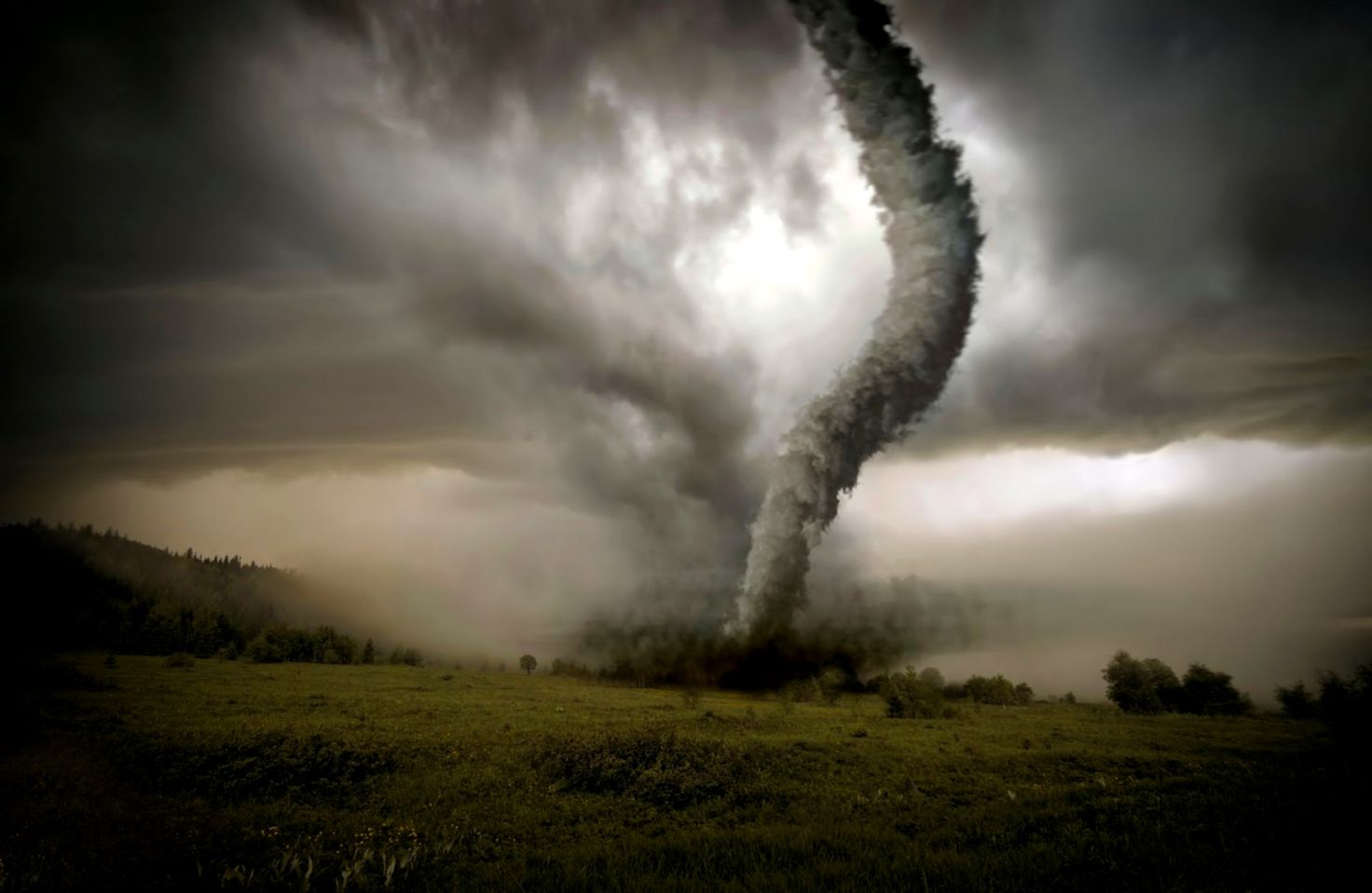 Save The Wine Avoiding Natural Disasters In The    Fast Horse