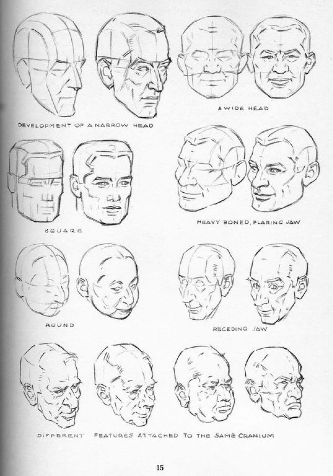 Наименования лиц. Эндрю Лумис рисование головы. Рисунок головы по Эндрю Лумиса. Эндрю Лумис пропорции головы. Эндрю Лумис рисование голов и рук.