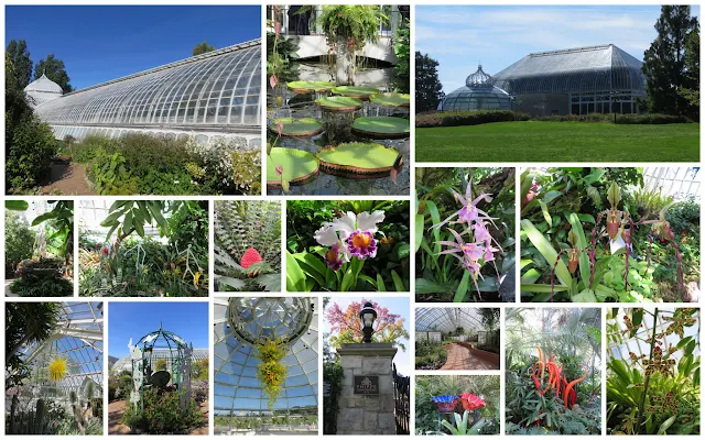 Fun things to do in Pittsburgh - Phipps Botanical Gardens and Conservatory