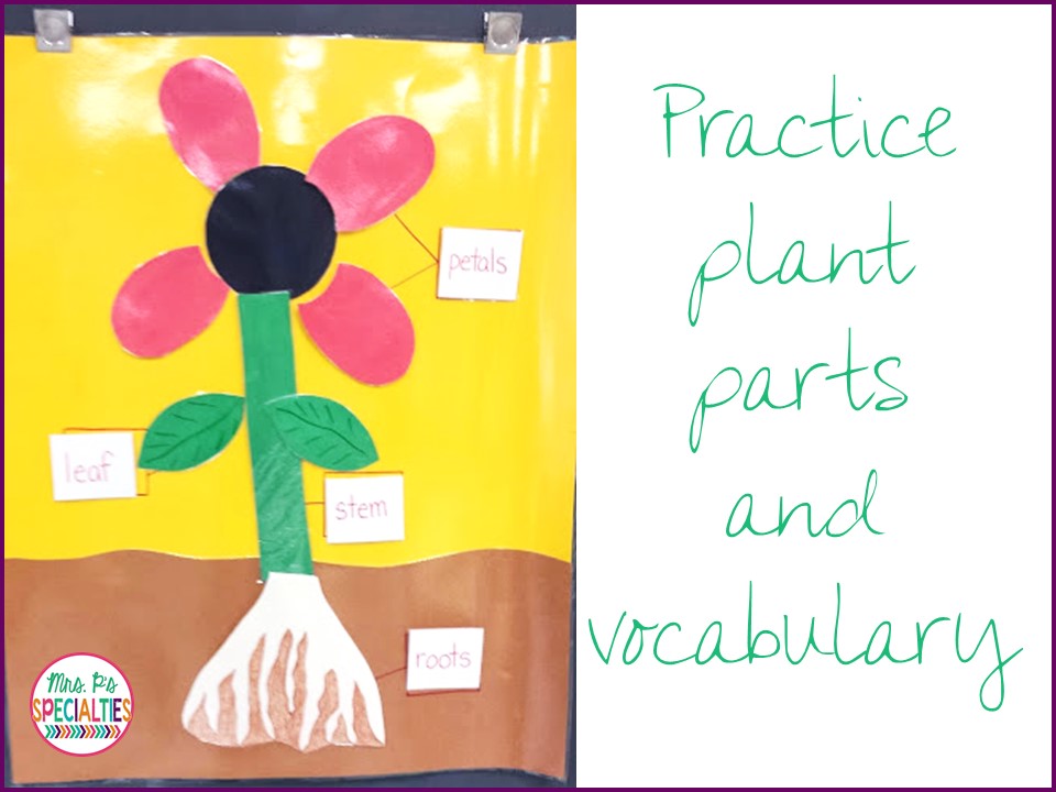 How To Use Interactive Posters To Build Concepts And Language Mrs. P