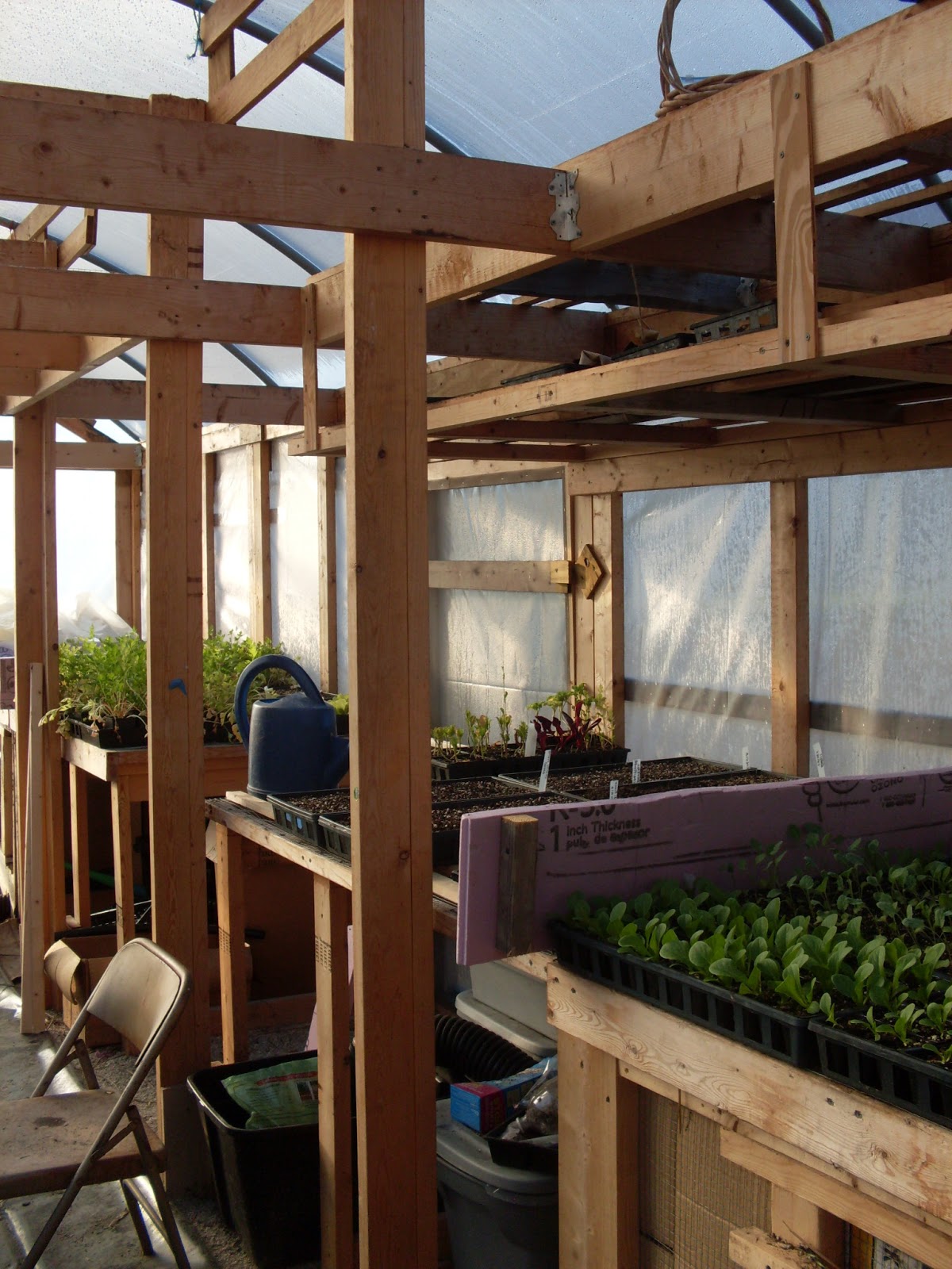 Three Sisters Garden Tricycle Gardens Headquarters