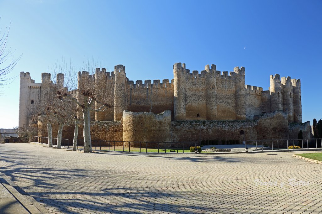 Castillo de Coyanza, Valencia de Don Juan, León