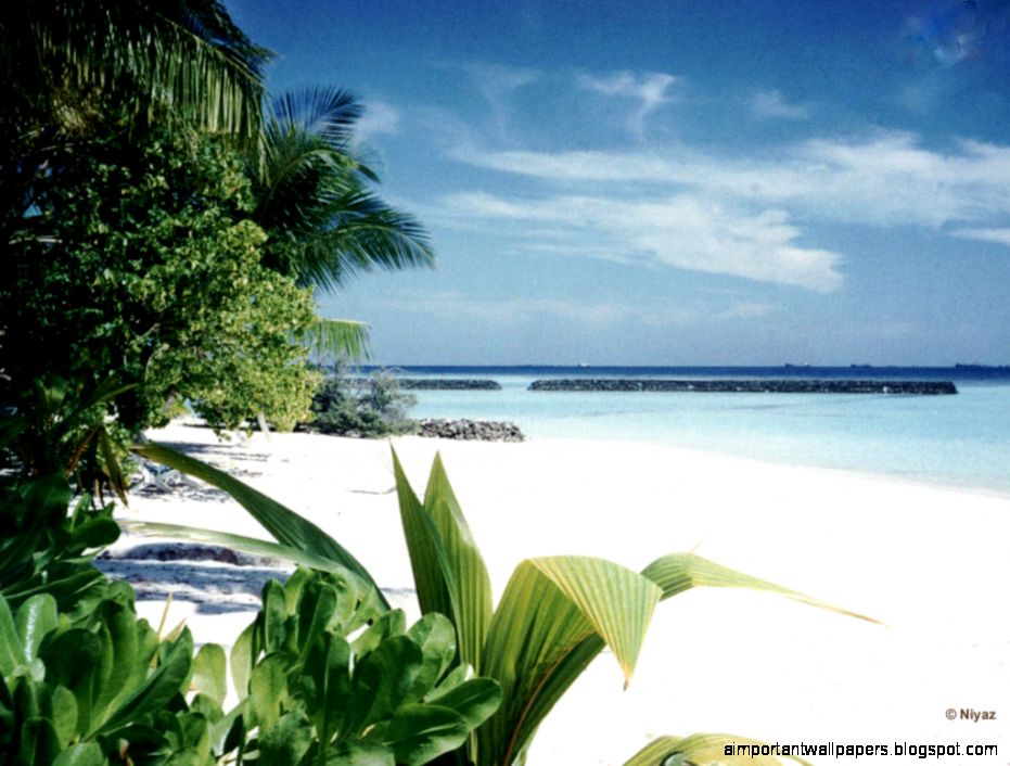Tropical Beach Wallpaper 081 Free Desktop Wallpapers Cool Wallpapers