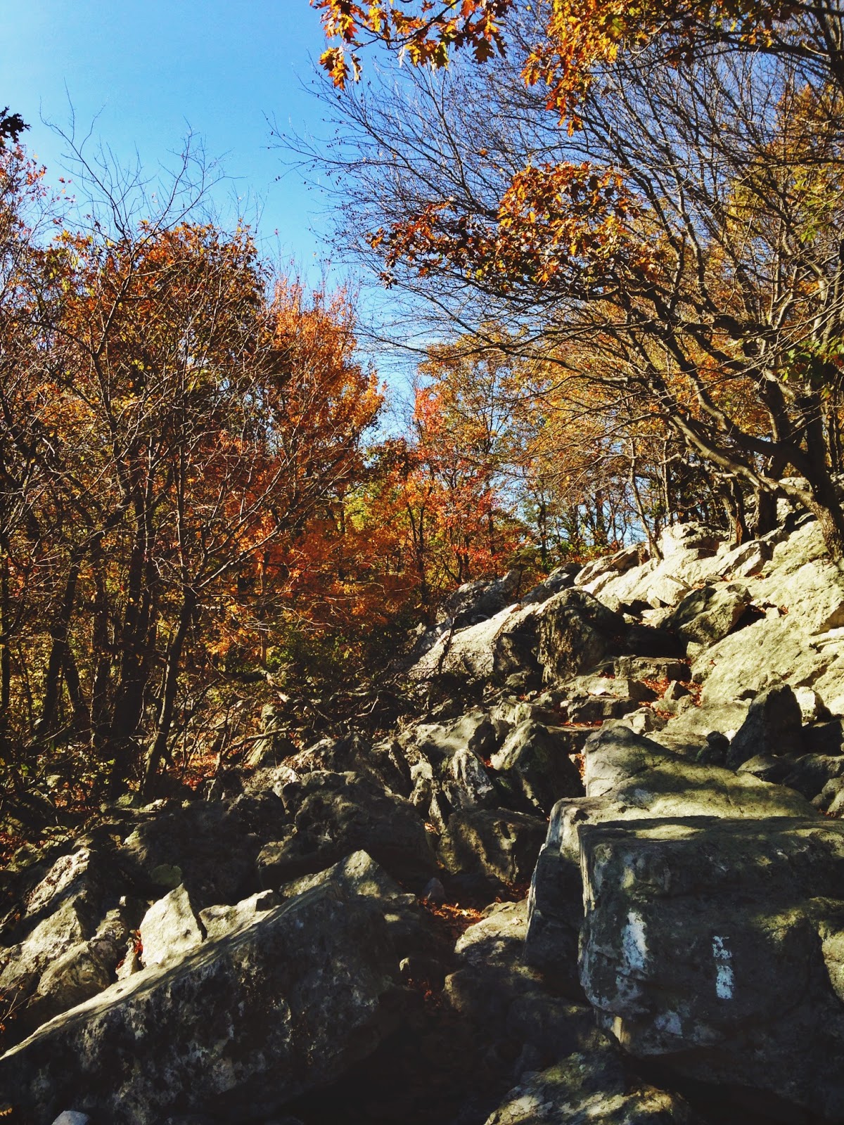 Hiking Pennsylvania: The Pinnacle and Pulpit Rock via the Appalachian Trail