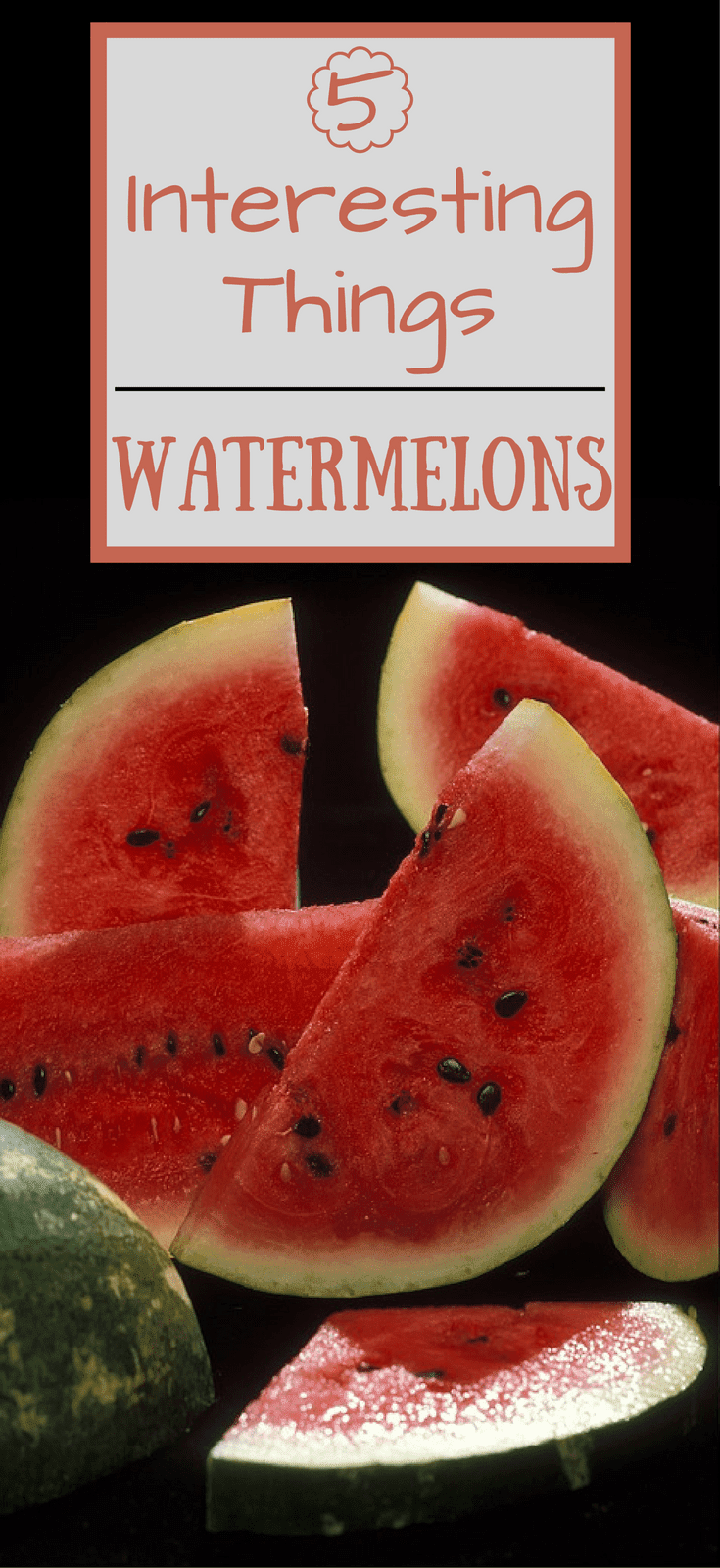 5 Interesting Things You Should Know About Watermelons