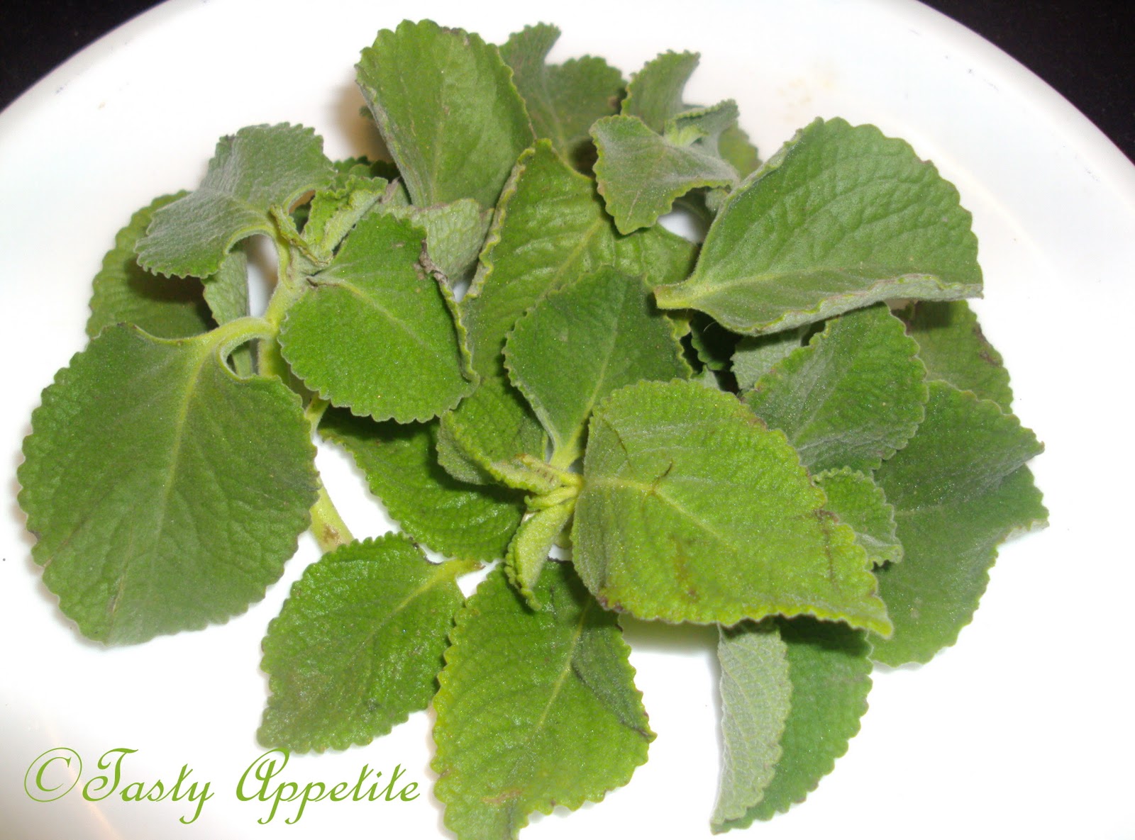Karpooravalli / Ajwain Leaves Thuvaiyal
