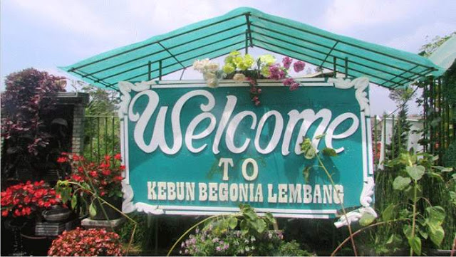 Taman Bunga Begonia Lembang