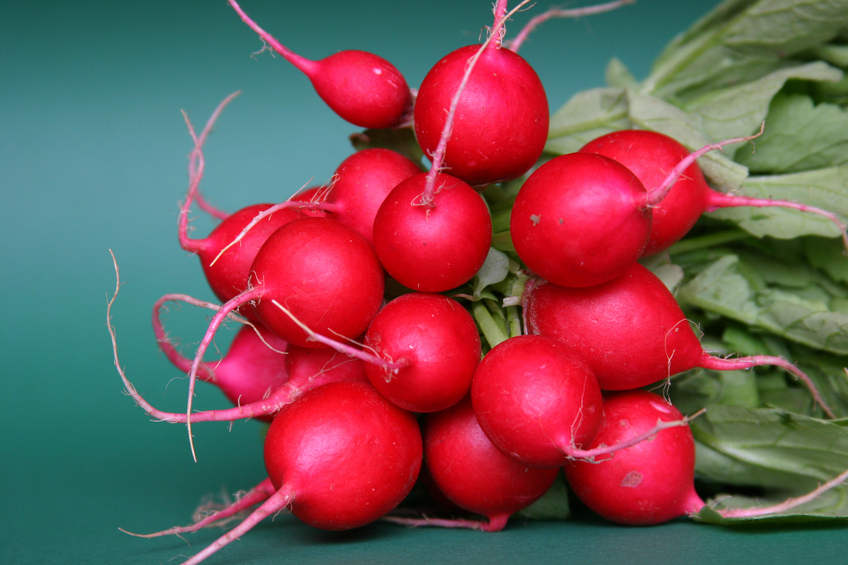 Radish Fruits And Vegetables